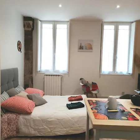 Apartment Renove 26 M2 Centre Historique *