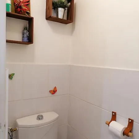 Renove 26 M2 Centre Historique Rodez